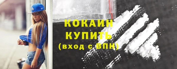 apvp Няндома