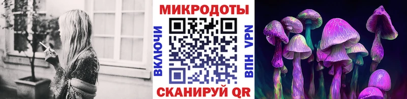 Псилоцибиновые грибы GOLDEN TEACHER  блэк спрут зеркало  Туран  купить  цена 